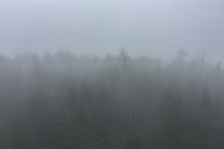 De eerst dag in Great Smokey Mountains NP is er amper zicht